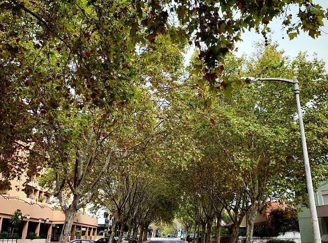 Avenida Loft- By Onartstays